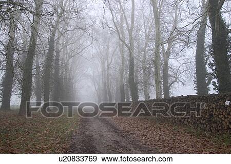Stock Photo - nature, scene, scenic, thick, dark, clouds. Fotosearch