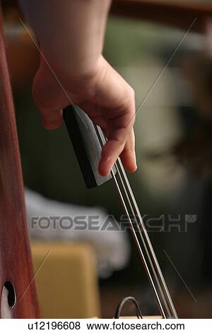 musical, instrument, work, cello, musician, instrumentalist View Large Photo Image Stock Photo - musical, instrument, work, cello, musician, instrumentalist. Fotosearch