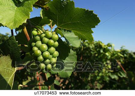 outdoor, nature, natural, environment, climate, condition View Large Photo Image Stock Image - outdoor, nature, natural, environment, climate, condition. Fotosearch
