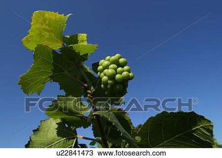 outdoor, nature, natural, environment, climate, condition View Large Photo Image Stock Image - outdoor, nature, natural, environment, climate, condition. Fotosearch