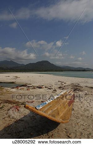 Stock Image - paddles, boats, oars, sport, recreation, parked. Fotosearch