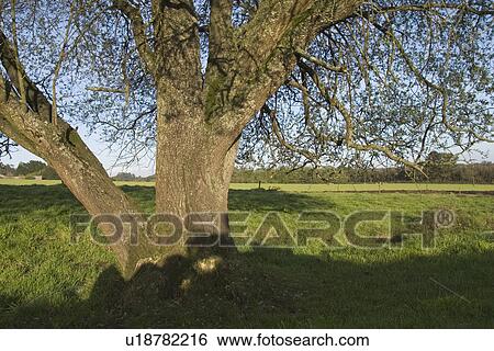 Stock Photograph - blue sky, calm, day. Fotosearch
