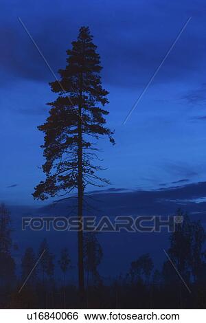 Stock Photograph - Calm, Climate, Clouds, Nature, Night. Fotosearch