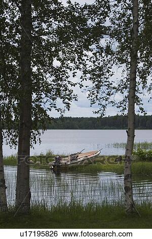 Stock Photograph - Calm, Climate, Coast, Day, Environment. Fotosearch