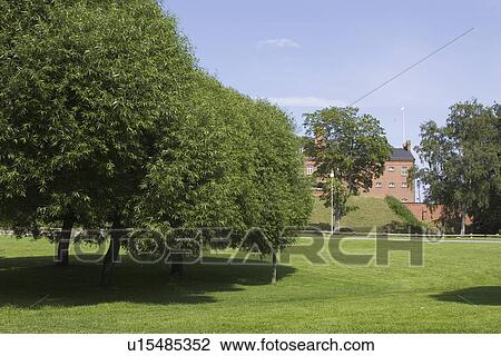 Stock Image - Day, Outdoors. Fotosearch