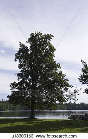 Stock Image - Day, Outdoors. Fotosearch