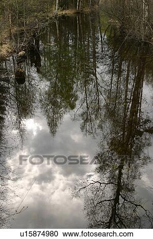 Stock Image - green, growth, natural, outdoors, plants, plant life. Fotosearch