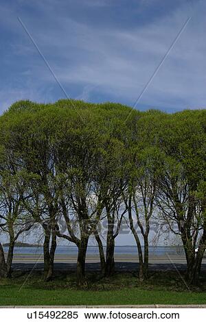 Stock Photography - natural, climate, season, seasonal, scenic, calm. Fotosearch