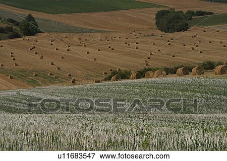 outdoor, nature, natural, environment, ground, landscape View Large Photo Image Stock Photo - outdoor, nature, natural, environment, ground, landscape. Fotosearch