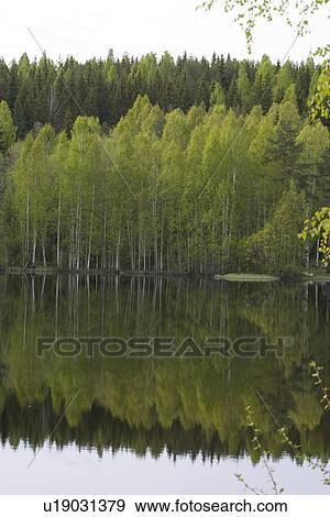 Stock Photo - calm, climate, day. Fotosearch