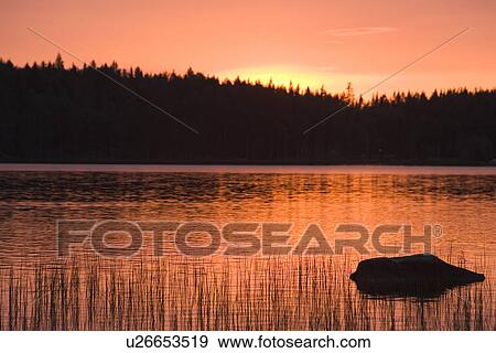 Stock Photo - Calm, Coast, Dawn, Dusk, Grass. Fotosearch