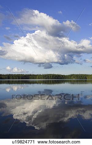 Stock Image - Cloud, Day, Fluffy, Forest, Green. Fotosearch
