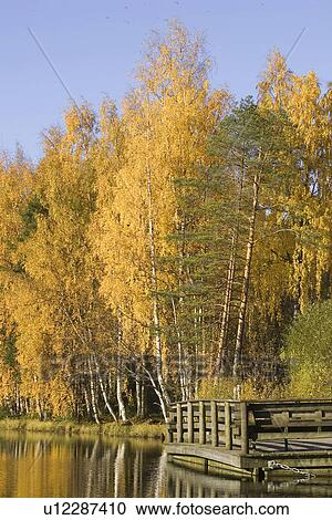 Stock Image - Day, Dense, Dock, Forest, Lake. Fotosearch