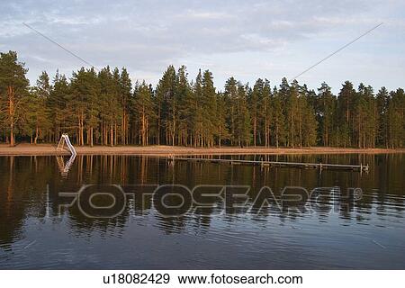Stock Photo - Day, Growth, Habitat, Lake. Fotosearch