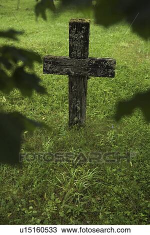 Grass, Wood View Large Photo Image Stock Image - Grass, Wood. Fotosearch