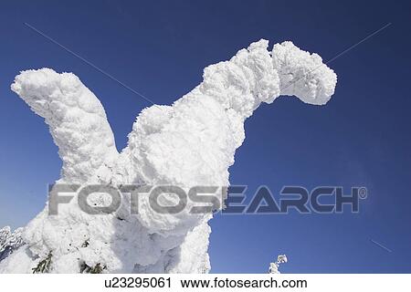 Stock Image - Blue, Clear Sky, Close-Up, Covering, Day. Fotosearch
