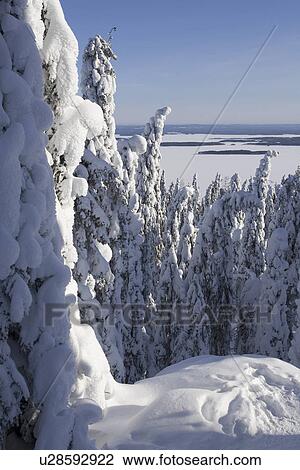 Stock Image - Blue, Clear Sky, Covering, Day, Distant. Fotosearch