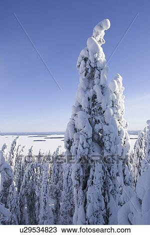 Blue, Clear Sky, Covering, Day, Distant View Large Photo Image Stock Image - Blue, Clear Sky, Covering, Day, Distant. Fotosearch