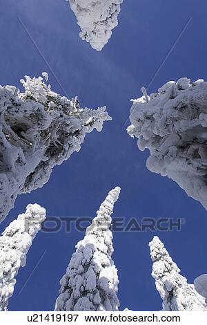 Blue, Clear Sky, Covering, Day View Large Photo Image Stock Photo - Blue, Clear Sky, Covering, Day. Fotosearch