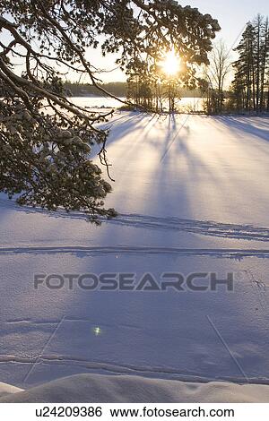 Clear Sky, Climate, Close-Up, Covering, Frozen View Large Photo Image Stock Photograph - Clear Sky, Climate, Close-Up, Covering, Frozen. Fotosearch