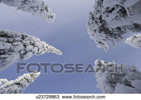 Stock Image - Clear Sky, Covering, Day, Directly Below. Fotosearch