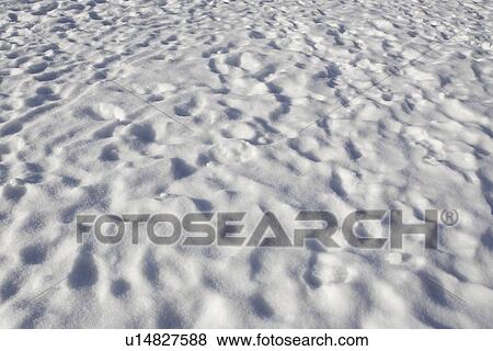 Close-Up, Covering, Day, Footprint, Full Frame View Large Photo Image Stock Photo - Close-Up, Covering, Day, Footprint, Full Frame. Fotosearch