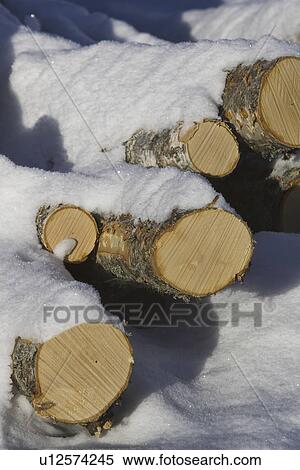 Close-Up, Covering, Day, Frozen, Group Of Objects View Large Photo Image Stock Photography - Close-Up, Covering, Day, Frozen, Group Of Objects. Fotosearch