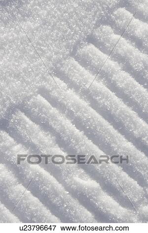 Stock Photo - Close-Up, Day, Design, Footprint, Full Frame. Fotosearch