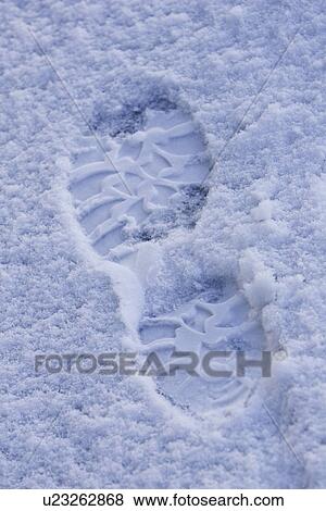 Stock Photo - Close-Up, Day, Design, Frozen, Full Frame. Fotosearch