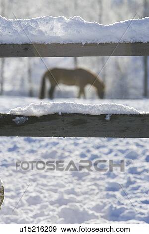 Stock Photo - Close-Up, Day, Fence, Focus On Foreground. Fotosearch