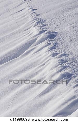 Stock Image - Close-Up, Day, Frozen, Full Frame. Fotosearch