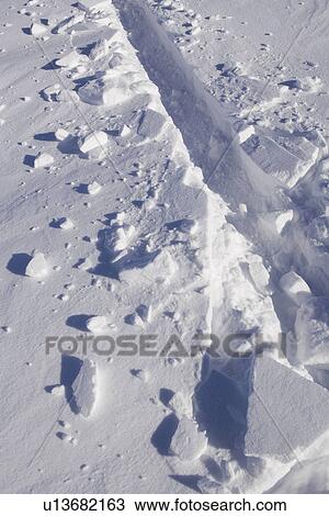 Stock Image - Close-Up, Day, Full Frame, Natural Pattern. Fotosearch