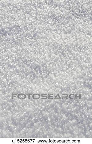 Stock Photo - Close-Up, Day, Full Frame, Outdoors. Fotosearch