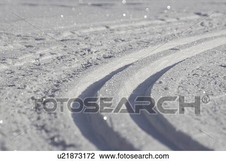 Close-Up, Day, Full Frame View Large Photo Image Stock Image - Close-Up, Day, Full Frame. Fotosearch