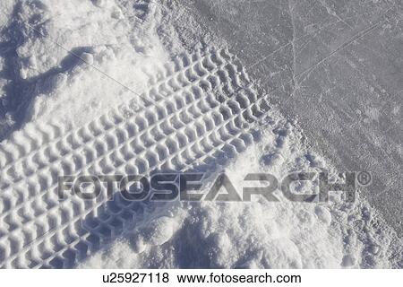 Close-Up, Day, Full Frame View Large Photo Image Stock Photo - Close-Up, Day, Full Frame. Fotosearch