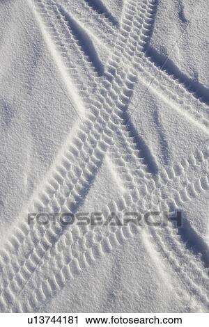 Stock Image - Snow, Tire Track, White, Winter, Absence. Fotosearch