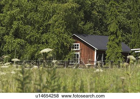 Stock Photo - Calm, Day, Dense, Forest, Green. Fotosearch