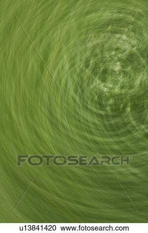 Calm, Formation, Close-Up, Circles, Appearance View Large Photo Image Stock Image - Calm, Formation, Close-Up, Circles, Appearance. Fotosearch