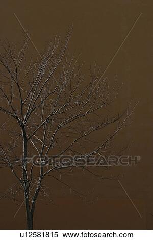 natural, climate, season, scenic, calm, serene View Large Photo Image Stock Photography - natural, climate, season, scenic, calm, serene. Fotosearch
