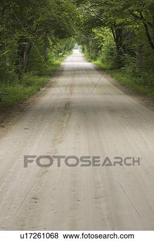 Stock Photo - Bushes, Calm, Day, Dense. Fotosearch