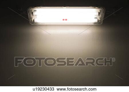 Stock Image - connected, electric light, appliance. Fotosearch
