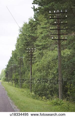 Stock Photography - Path, Electricity Pole. Fotosearch