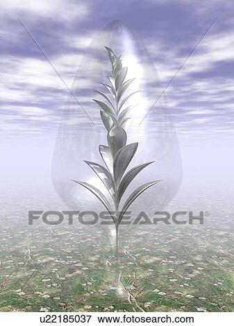 Metal shaped plant inside glass View Large Illustration Stock Illustration - Metal shaped plant inside glass. Fotosearch