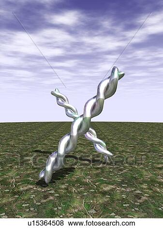 Twisting sticks making cross, laid on ground View Large Illustration Stock Illustration - Twisting sticks making cross, laid on ground. Fotosearch