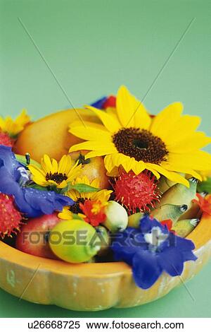 Flowers and Fruits in a Basket, Differential Focus View Large Photo Image Stock Photography - Flowers and Fruits in a Basket, Differential Focus. Fotosearch