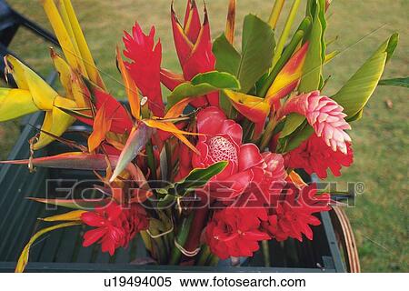 Stock Photography - High Angle View of a Flower Bouquet in a box, Differential Focus. Fotosearch