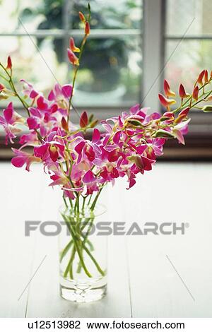 Orchid Flowers in a Glass Vase, Differential Focus, View Large Photo Image Stock Image - Orchid Flowers in a Glass Vase, Differential Focus,. Fotosearch