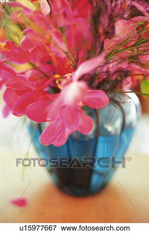 Orchid Flowers in a Glass Vase, Differential Focus, View Large Photo Image Stock Photo - Orchid Flowers in a Glass Vase, Differential Focus,. Fotosearch