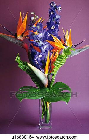 Studio Shot of a Flower Arrangement, Front View View Large Photo Image Picture - Studio Shot of a Flower Arrangement, Front View. Fotosearch