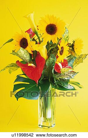 Stock Image - Studio Shot of a Flower Arrangement. Fotosearch
